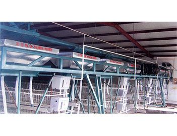 蛋、種雞自動給料機